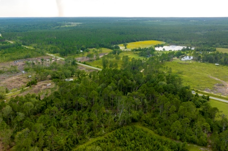 Telfair Pines