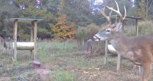 Little Ogeechee Retreat Photo