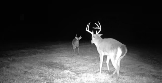 Little Ogeechee Retreat Photo