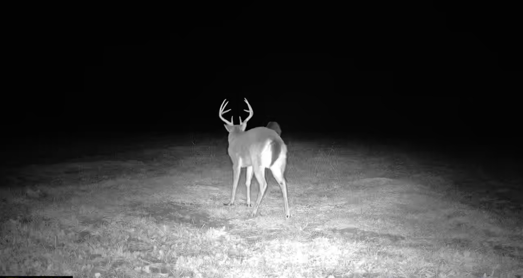 Little Ogeechee Retreat Photo