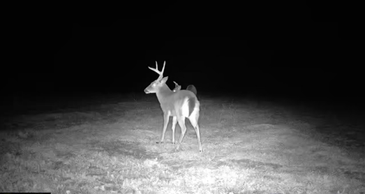 Little Ogeechee Retreat Photo