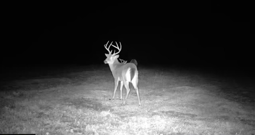 Little Ogeechee Retreat Photo