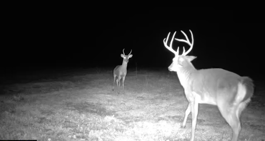 Little Ogeechee Retreat Photo