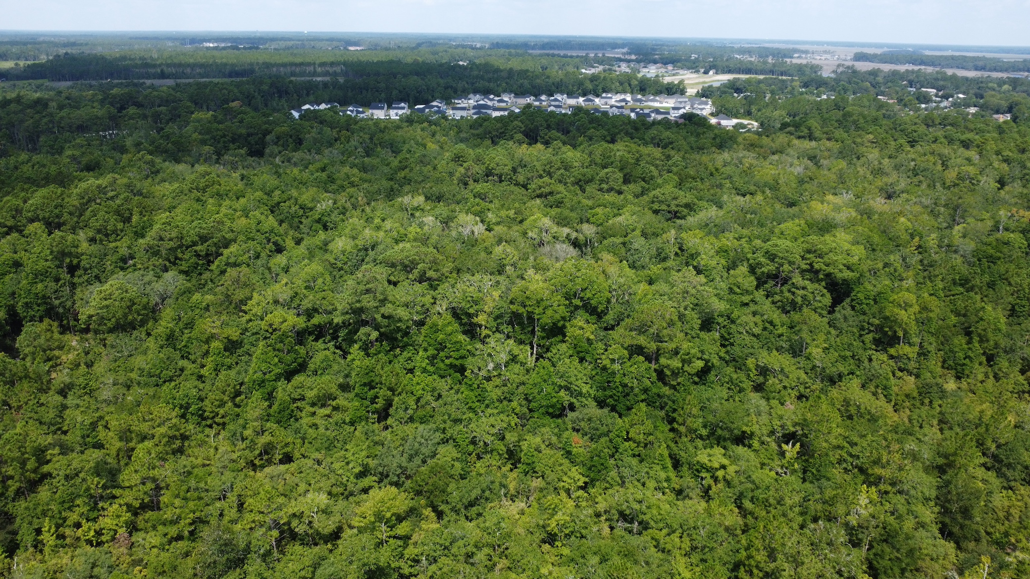 St. Marys Coastal Development