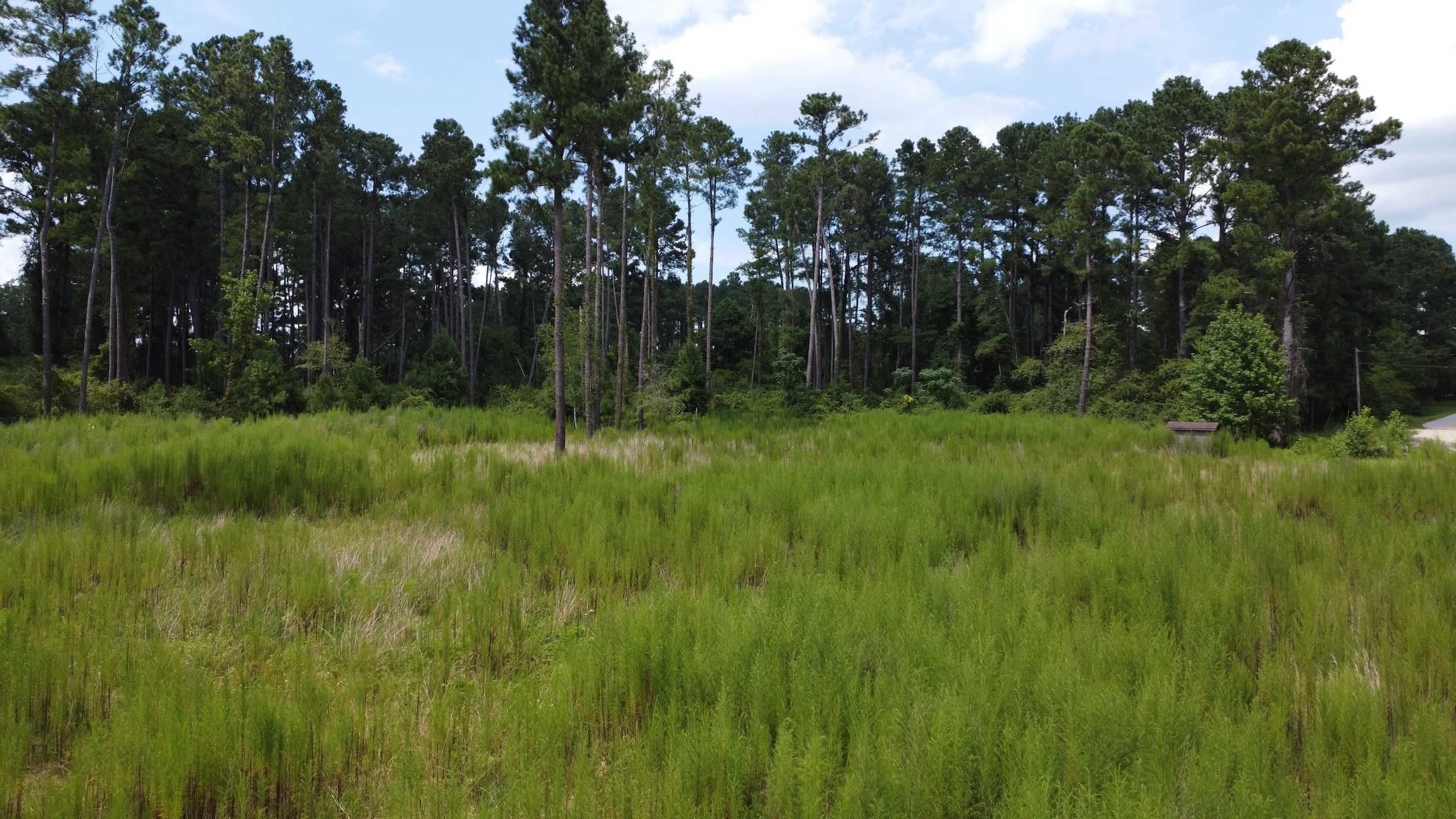 Riggs Mill Homesite. Photo