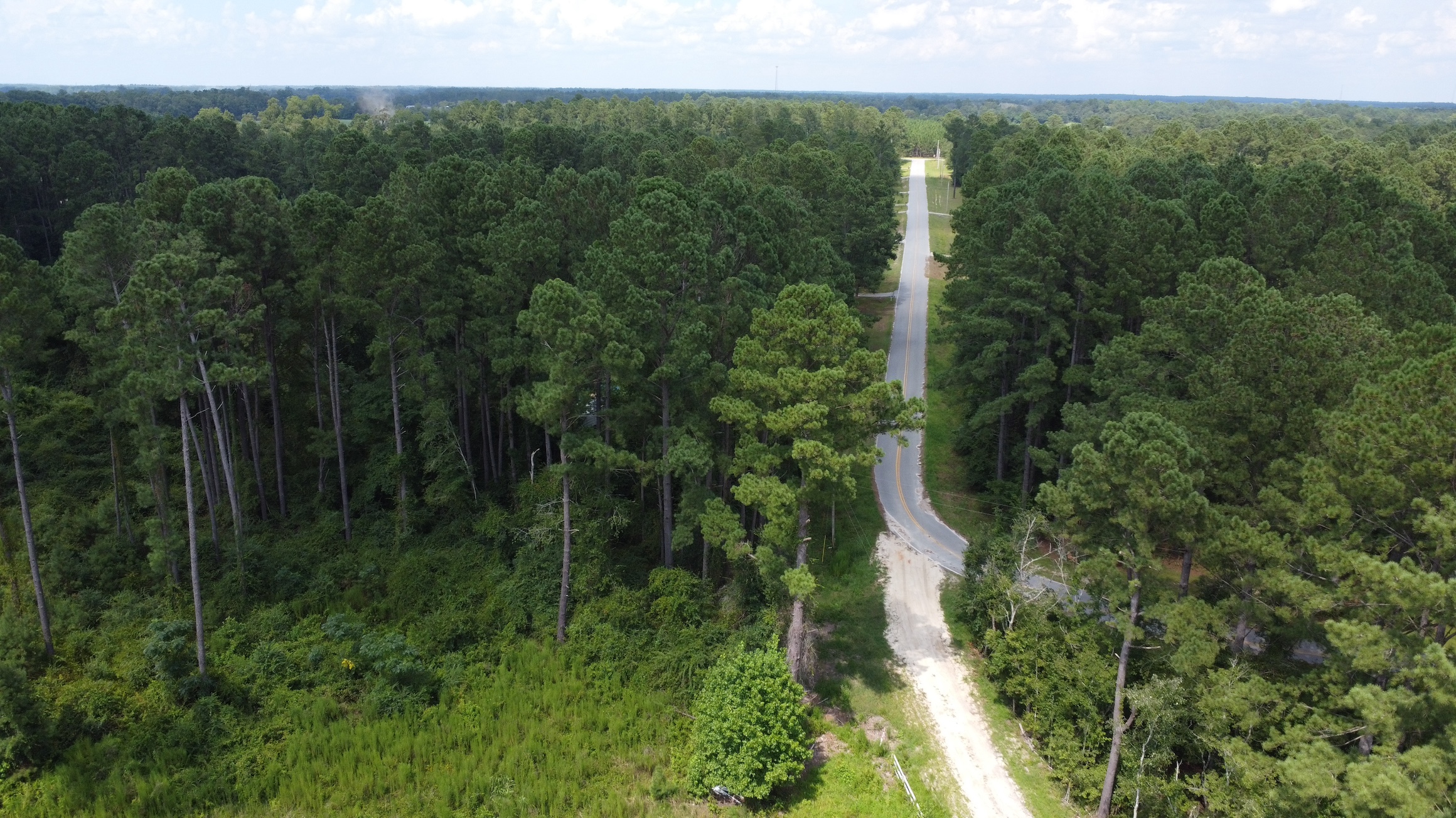Riggs Mill Homesite. Photo
