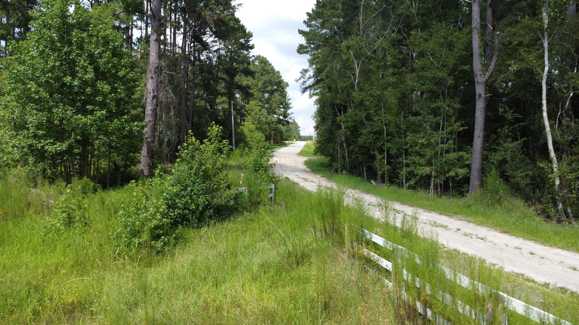 Riggs Mill Homesite. Photo