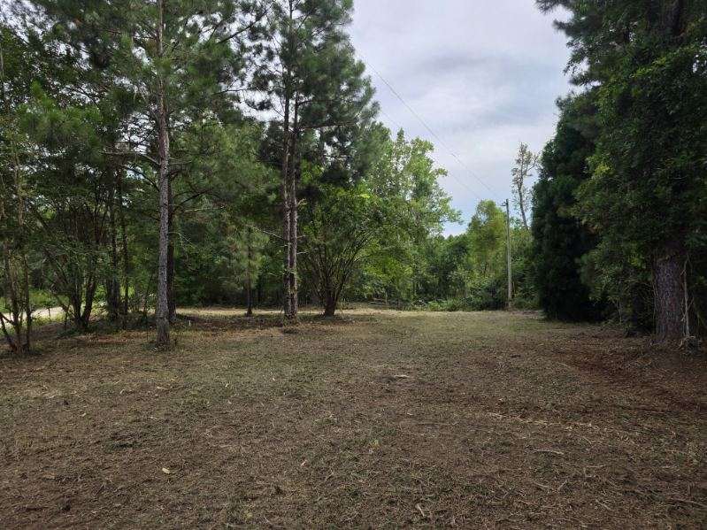 Dean Nichols Road Homesite Photo