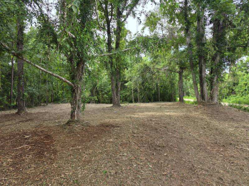 Dean Nichols Road Homesite Photo