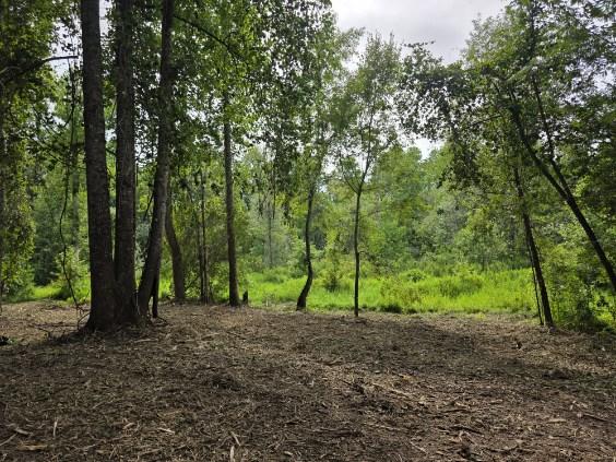 Dean Nichols Road Homesite Photo