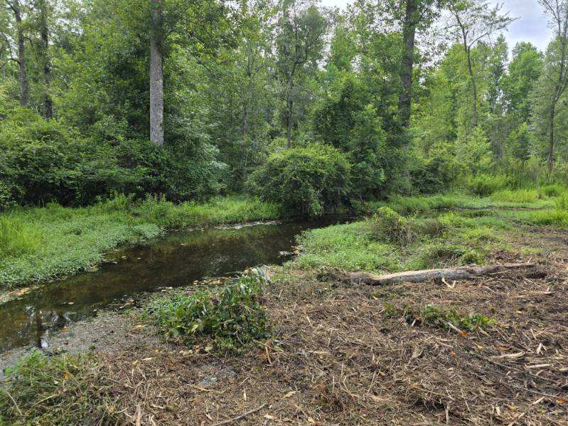 Dean Nichols Road Homesite Photo
