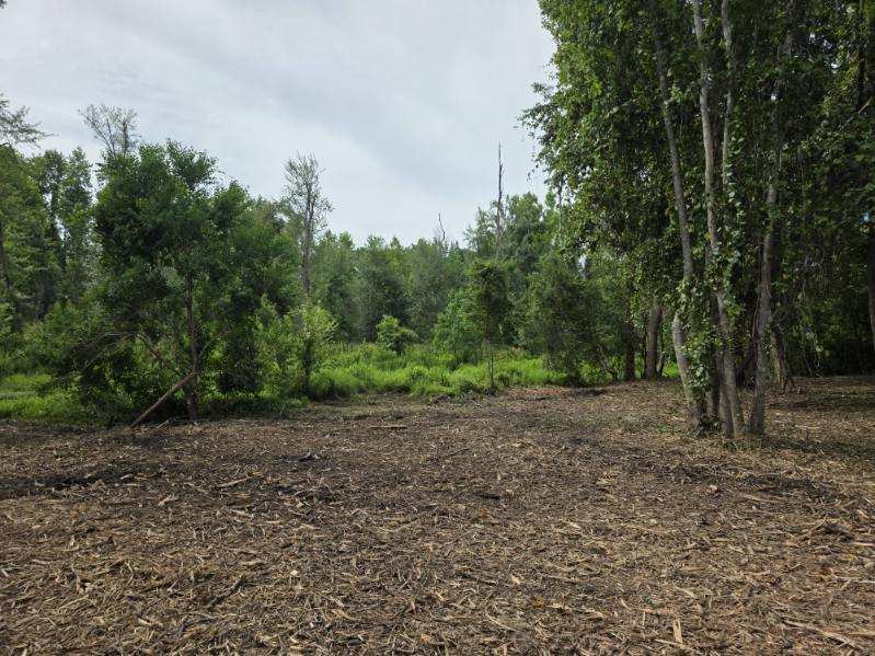 Dean Nichols Road Homesite Photo