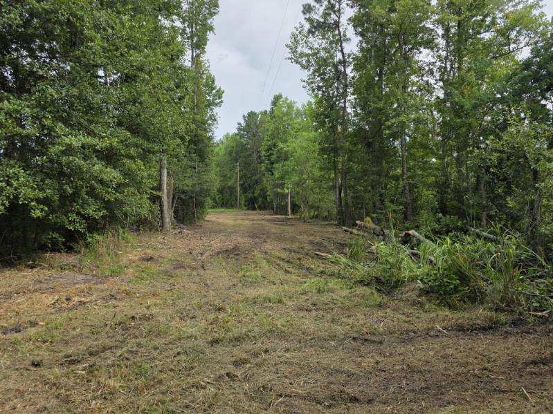 Dean Nichols Road Homesite Photo