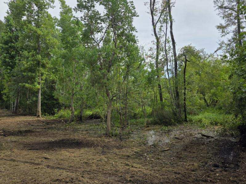Dean Nichols Road Homesite Photo