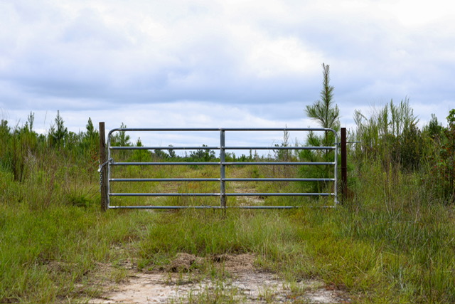 Batson Creek – Tract 3 Photo