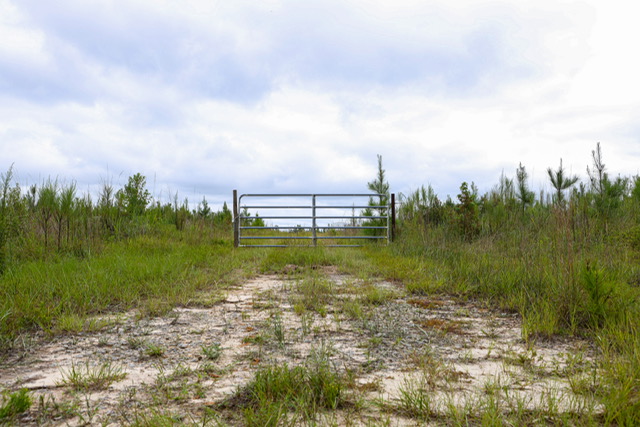 Batson Creek – Tract 3 Photo