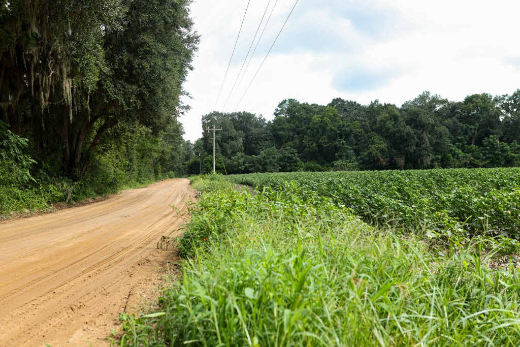 Twin Forks – Tract 1 Photo