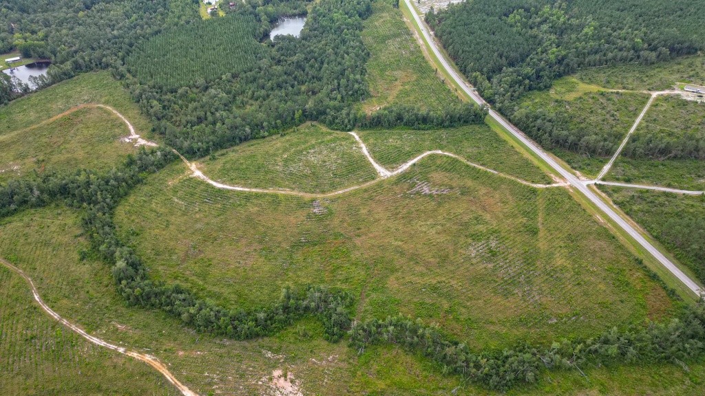 Batson Creek – Tract 4 Photo