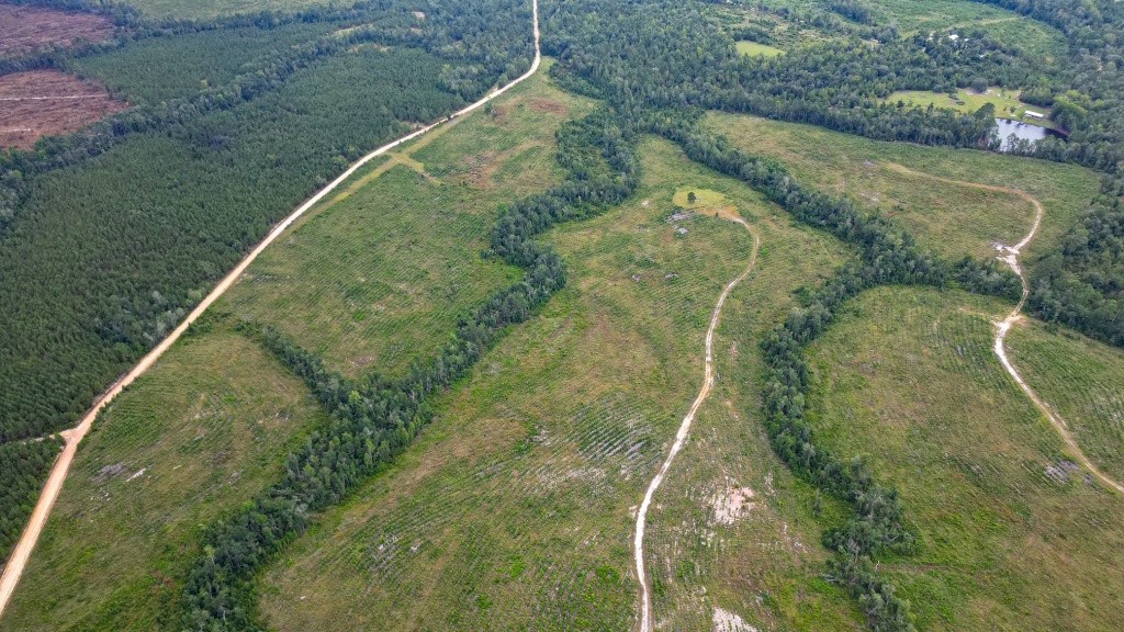 Batson Creek – Tract 1 Photo