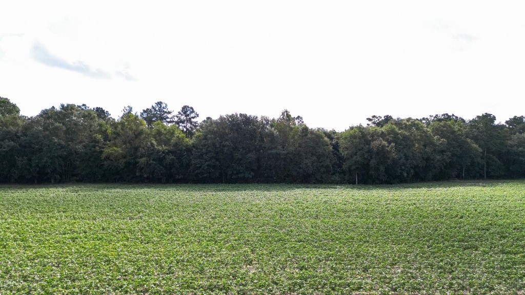 Twin Forks – Tract 1 Photo