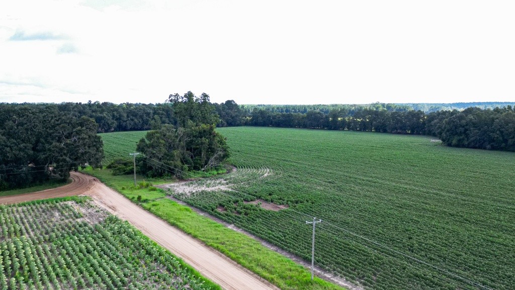 Twin Forks – Tract 1 Photo