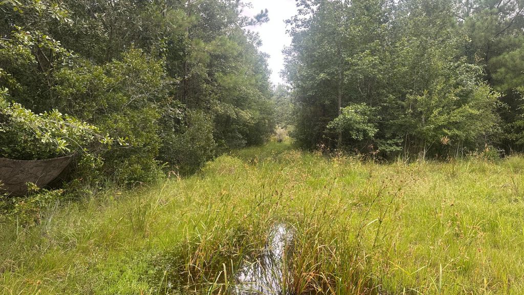 Duck Hole Photo