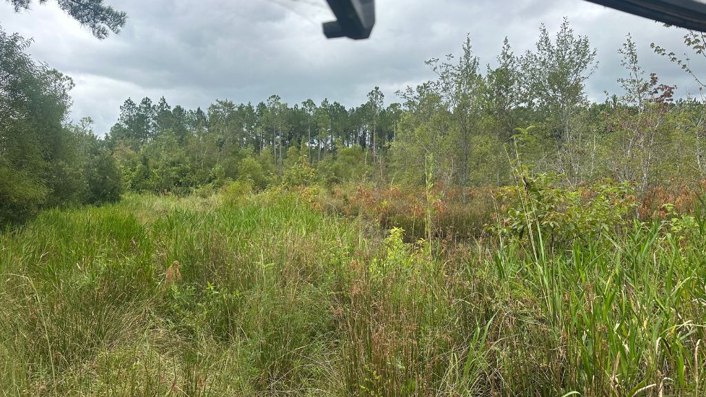 Duck Hole Photo