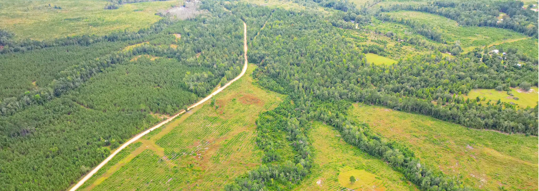 Batson Creek – Tract 1 Main Photo