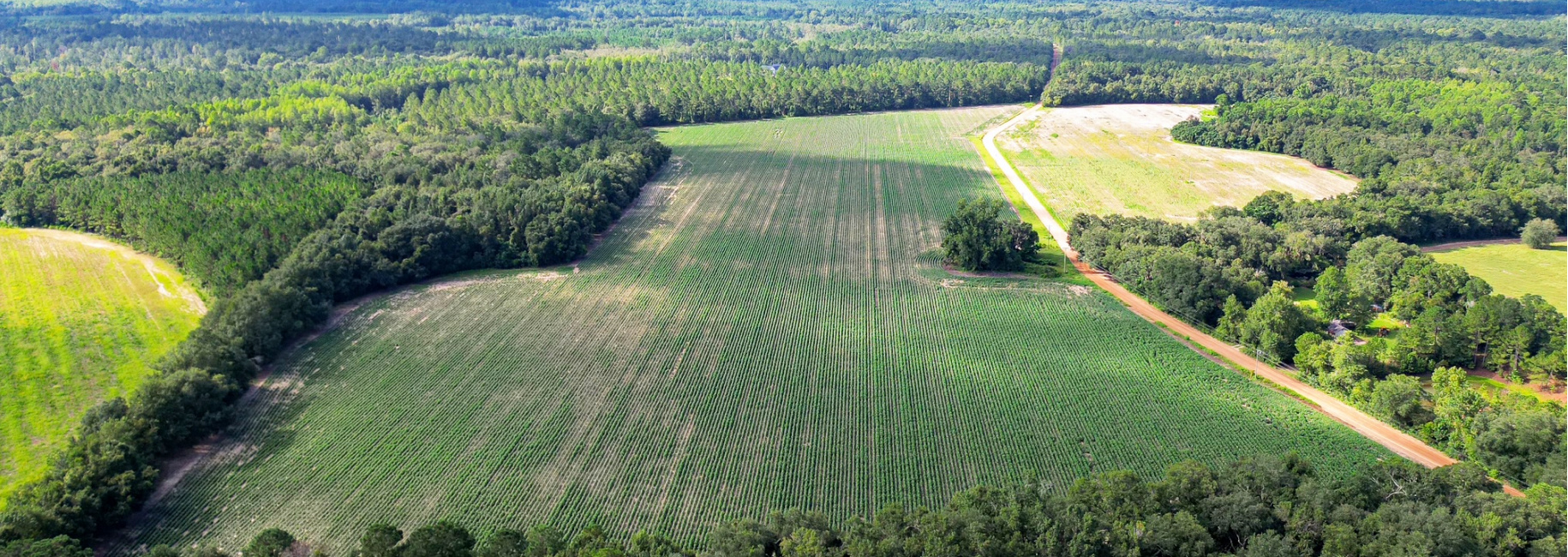 Twin Forks – Tract 1 Main Photo