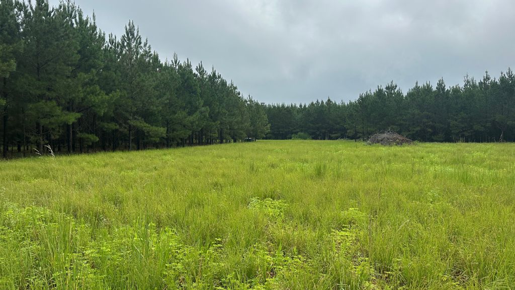 Hwy 67 Homesite Photo