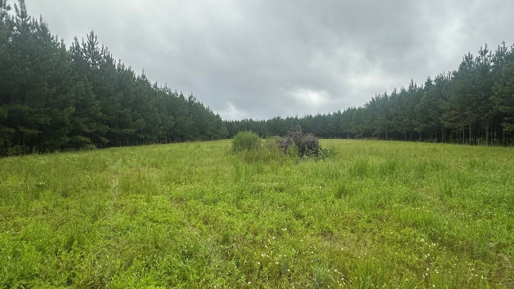 Hwy 67 Homesite Photo