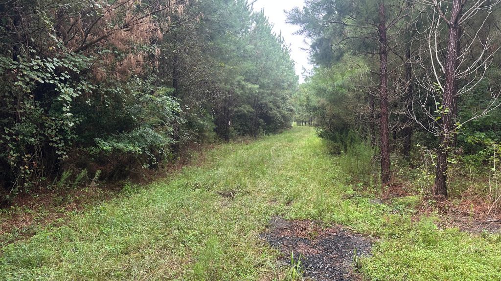 Hwy 67 Homesite Photo