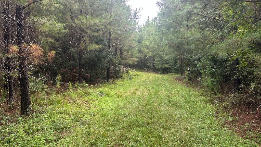 Hwy 67 Homesite Photo