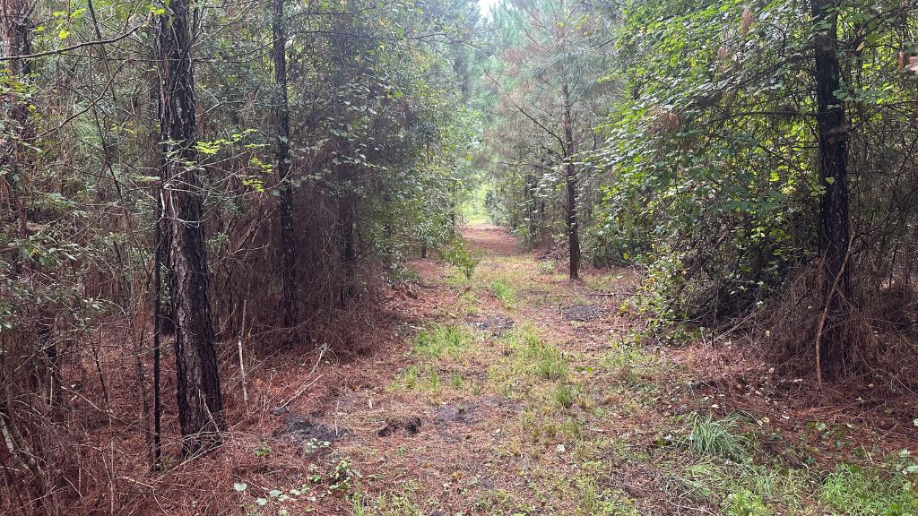 Hwy 67 Homesite Photo