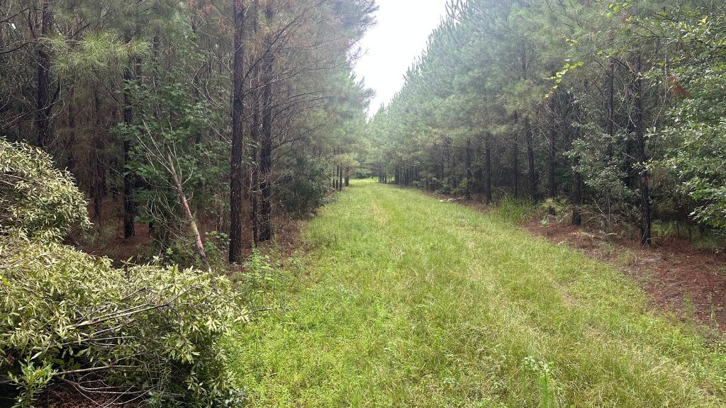 Hwy 67 Homesite Photo