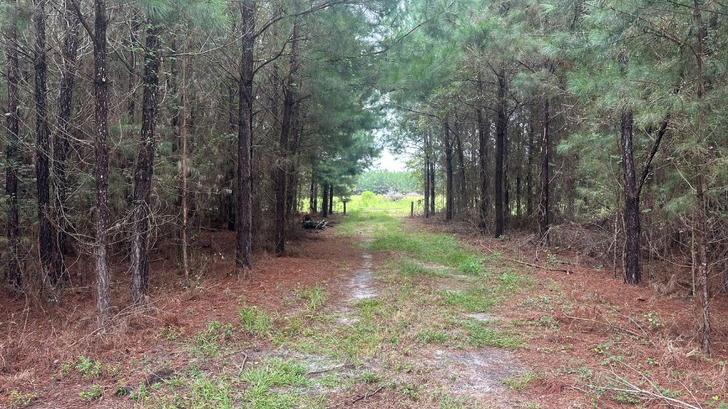 Hwy 67 Homesite Photo