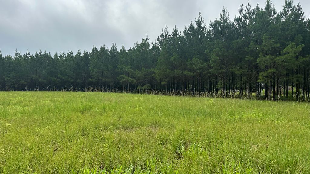 Hwy 67 Homesite Photo
