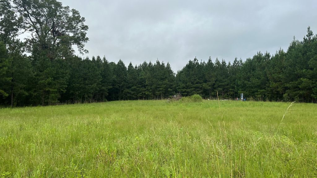 Hwy 67 Homesite Photo