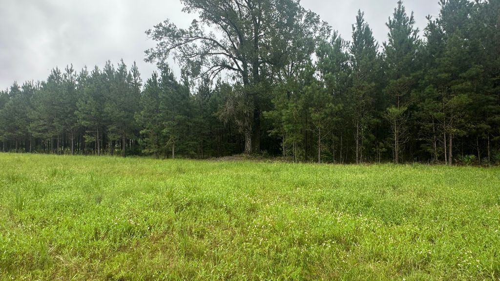 Hwy 67 Homesite Photo