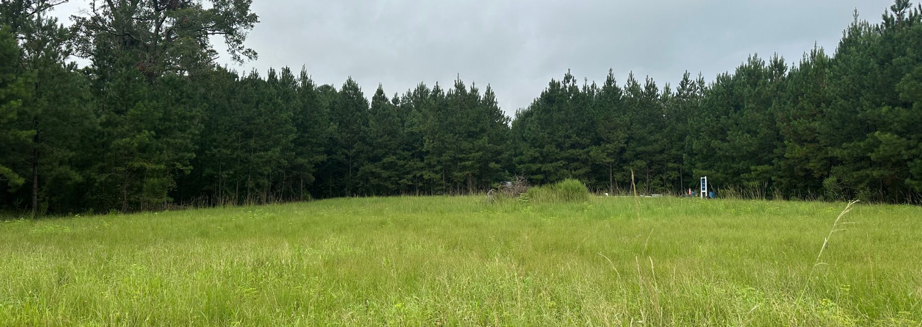 Hwy 67 Homesite Main Photo