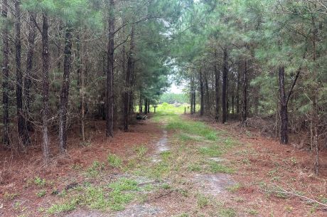 Hwy 67 Homesite