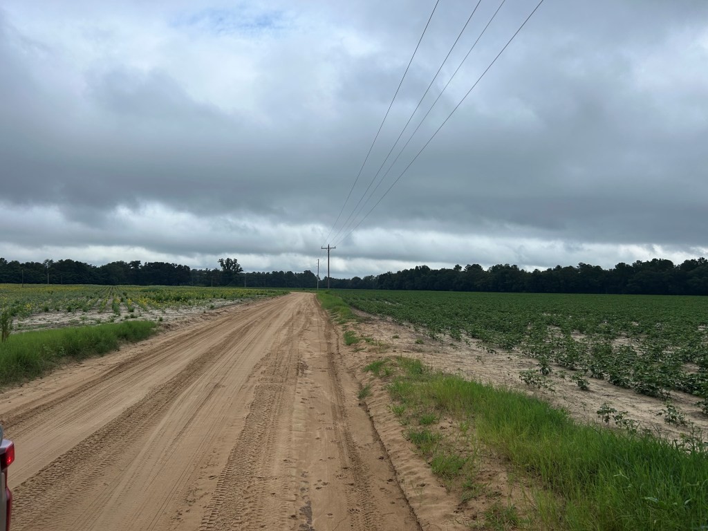 Twin Forks – Tract 1 Photo