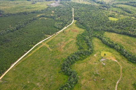 Batson Creek – Tract 1