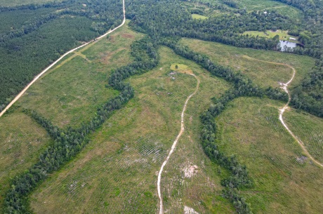 Batson Creek – Tract 2