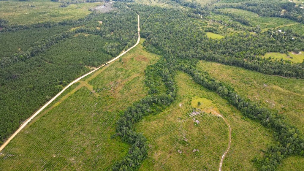 Batson Creek – Tract 1 Photo