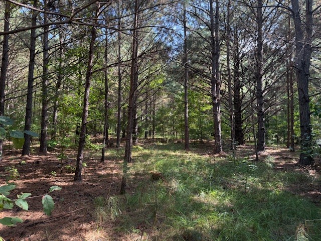 CE Norman Road Homesite Photo