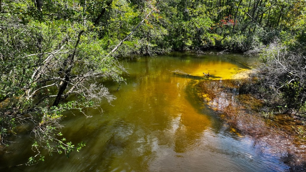 Whitewater Ranch Photo