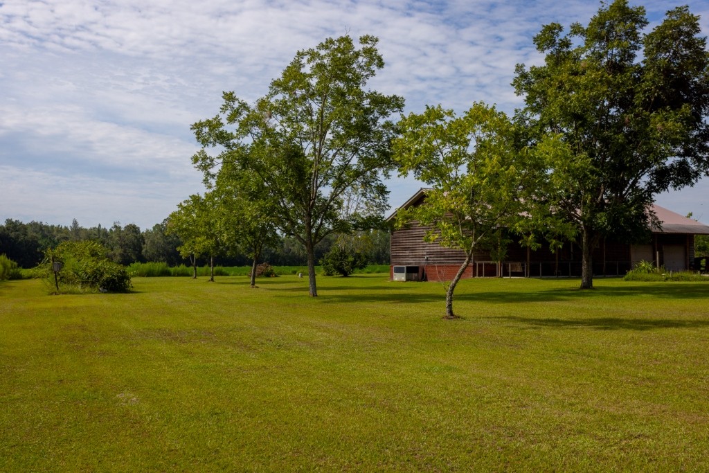 Bennett Family Farm Photo