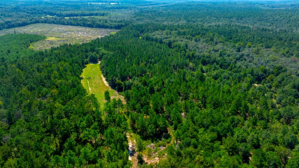 Whitewater Ranch Photo
