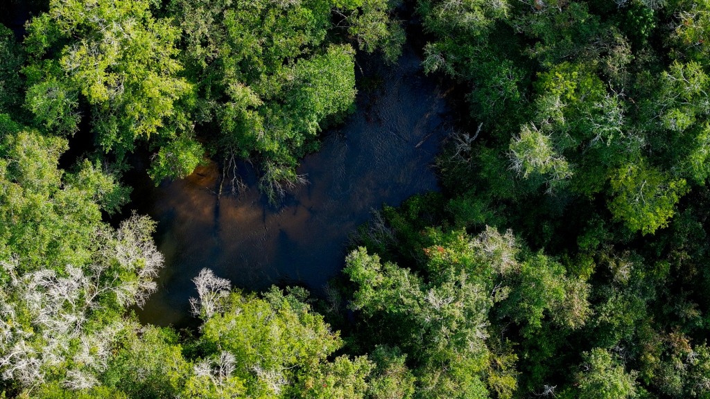 Double Creek Timber Photo